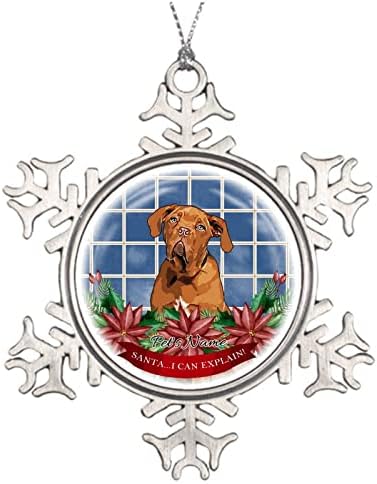 Personalizirani pseći snježna pahuljica Božićni bauble Djed Mraz Mogu objasniti ukras za ljubitelje psa za pse poklon corgi