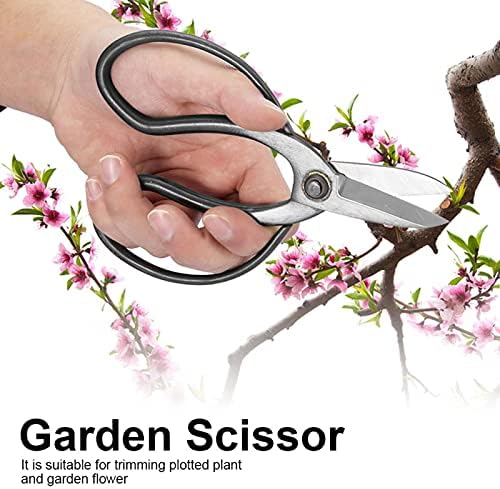 Vrtne ručne škare za rezidbu, izdržljive škare od nehrđajućeg čelika za biljke u Saksiji, vrtni alat za cvjetnjak