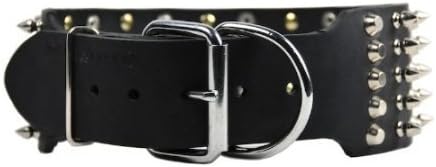 Dean & Tyler Leather Dog Collar Wide Heaven Black - 30 do 2 3/4 širina. Odgovarat će veličina vrata 28 '' - 32 ''. Ima mješavinu